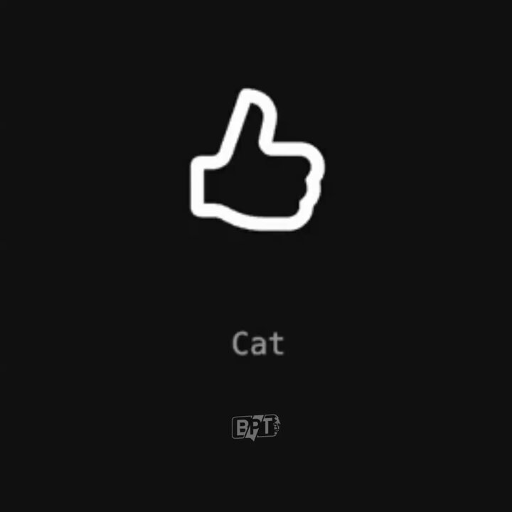 YouTube, Kedi ve Köpek Videolarına Özel Beğeni Animasyonu Getirdi