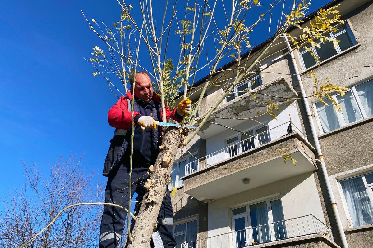Afyonkarahisar'da Mevsimlik Ağaç Budama ve Temizlik Çalışması