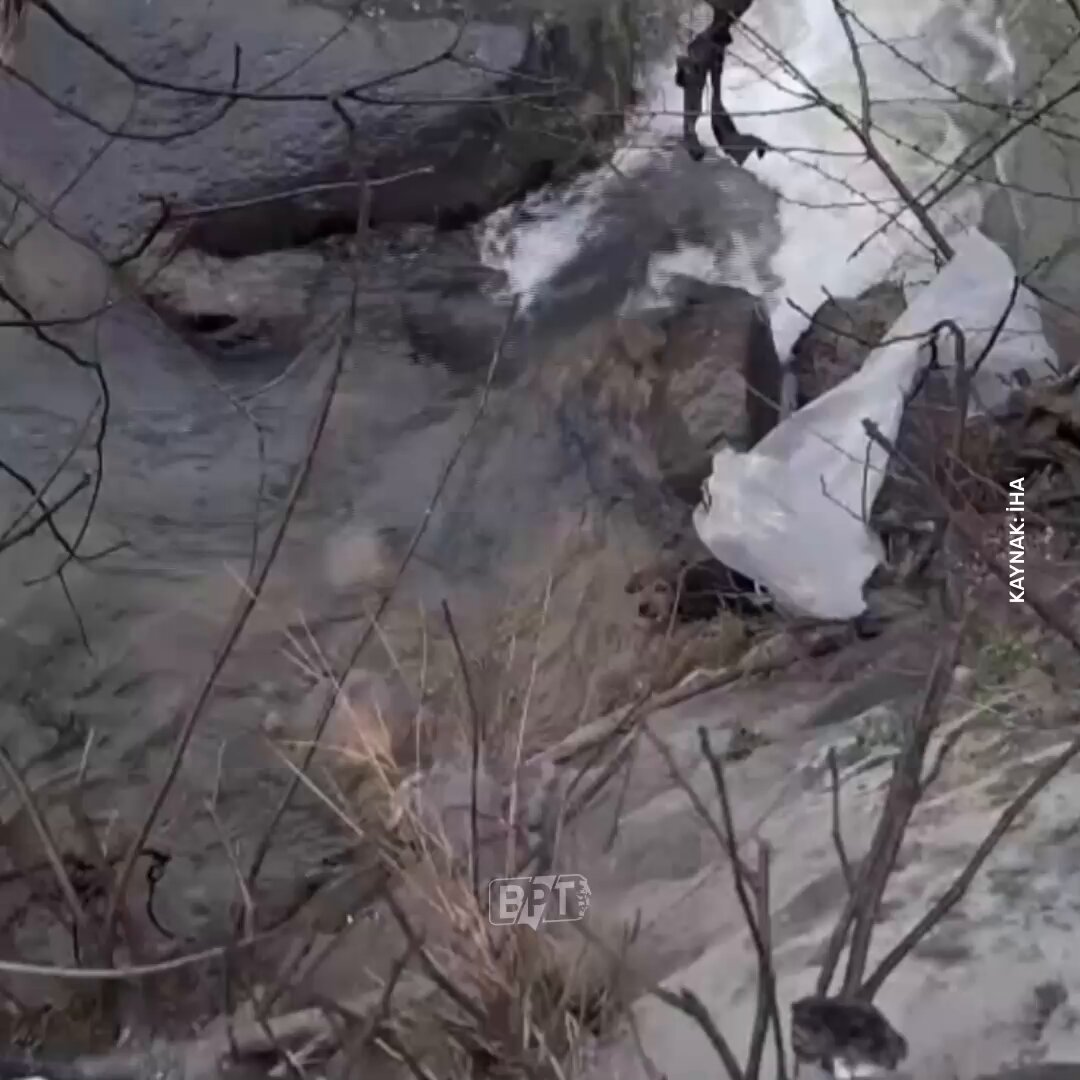 Giresun'da Mahsur Kalan Köpek Belediye Ekiplerince Kurtarıldı