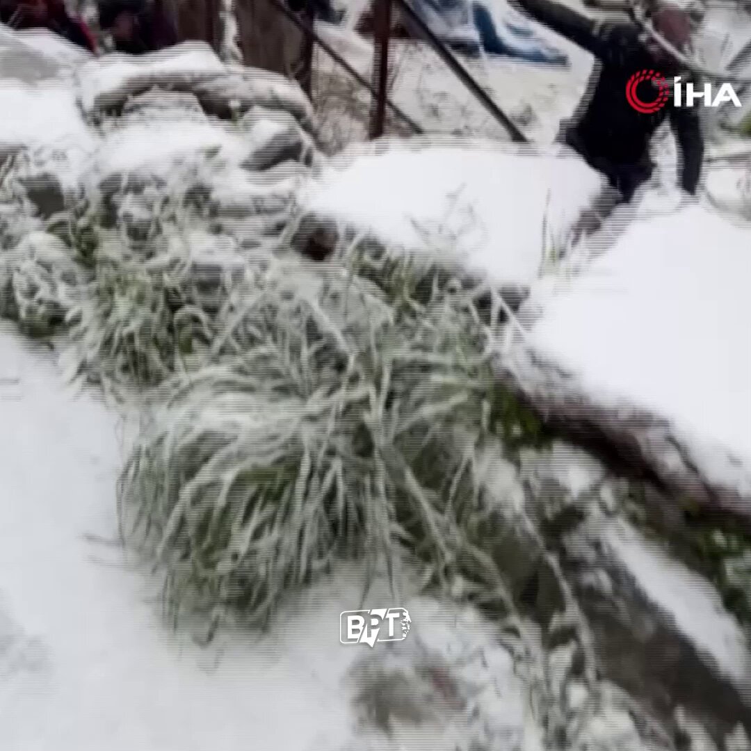 İstanbul'da Kontrolden Çıkan Otomobil, Evin Bahçesine Uçtu: 2 Yaralı