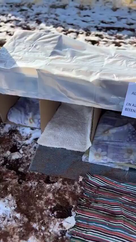 Sokak Kedileri İçin Kartondan Ev Yapan Kadının Duvar Yazısı Yürekleri Isıttı