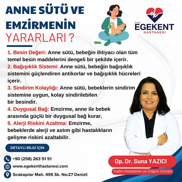 Bebekler İçin En Önemli Besin Kaynağı: Anne Sütü