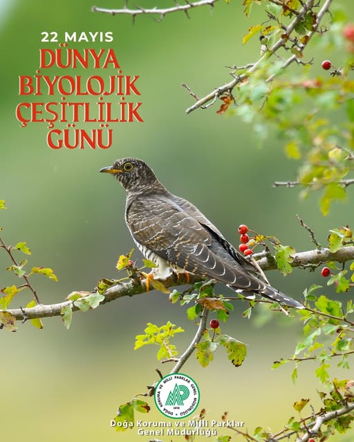 Eskişehir'de Dünya Biyolojik Çeşitlilik Günü Kutlandı