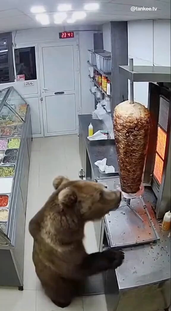 OpenAI'nin Yeni Yapay Zekası, Bir Ayının Dönerciye Girip Döner Yediği Gerçeküstü Video Oluşturdu
