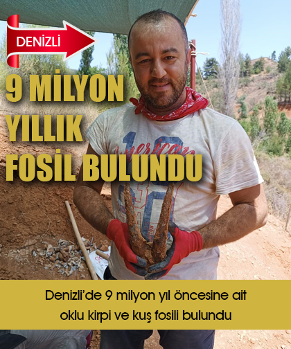 Denizlide 9 milyon yıl öncesine ait oklu kirpi ve kuş fosili bulundu