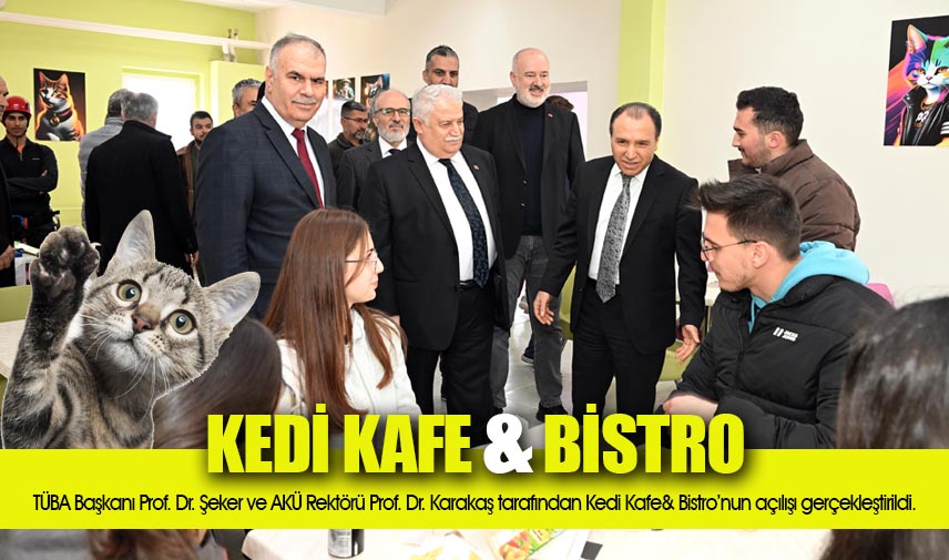 Kedi Kafe& Bistro