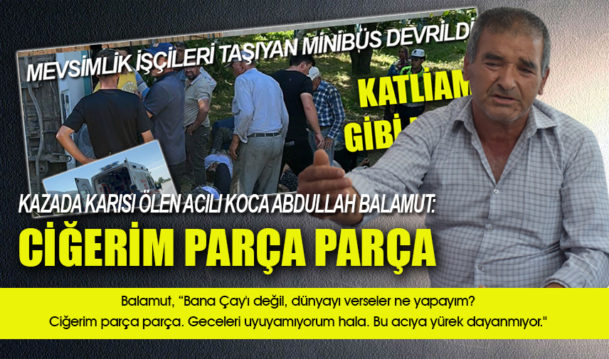 Ciğerim parça parça