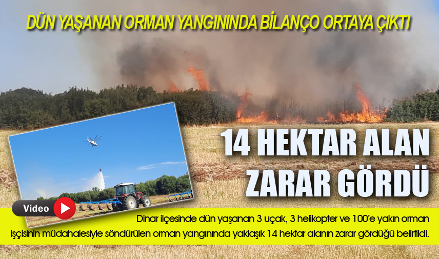 Yangında 14 hektar alanı zarar gördü