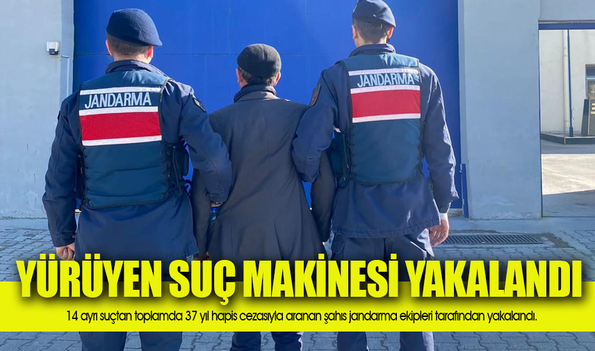 37 yıl hapis cezasıyla aranan şahıs jandarma tarafından yakalandı