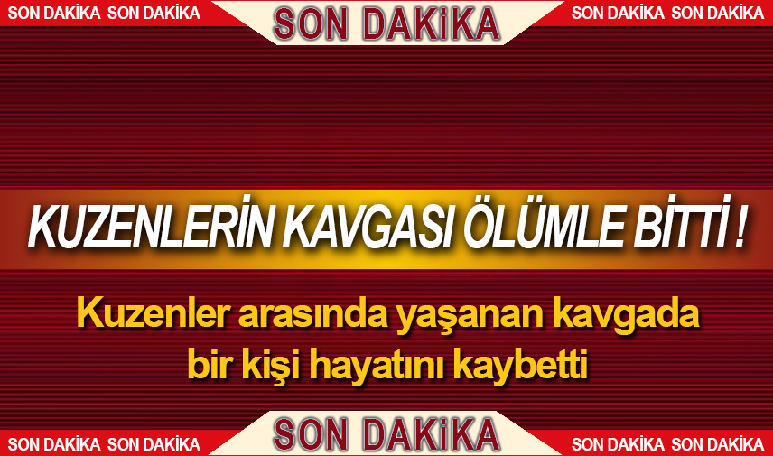 Kuzenlerin kavgası ölümle bitti