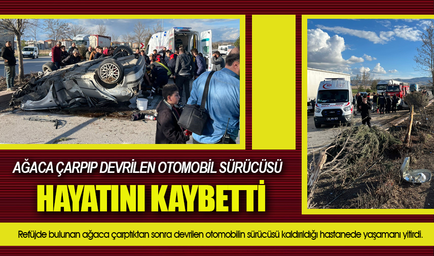  Ağaca çarpıp devrilen otomobil sürücüsü hayatını kaybetti