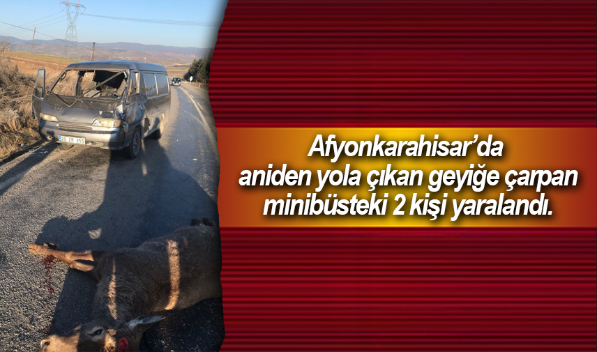 Geyiğe çarpan minibüste 2 kişi yaralandı