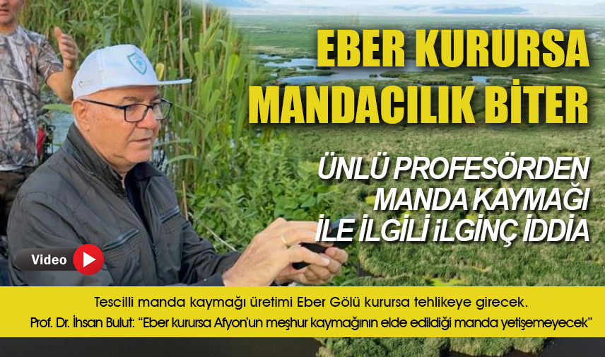 Ünlü profesörden manda kaymağı ile ilgili ilginç iddia