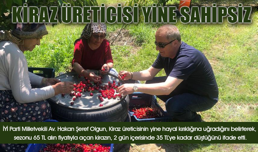 Kiraz üreticisi yine sahipsiz