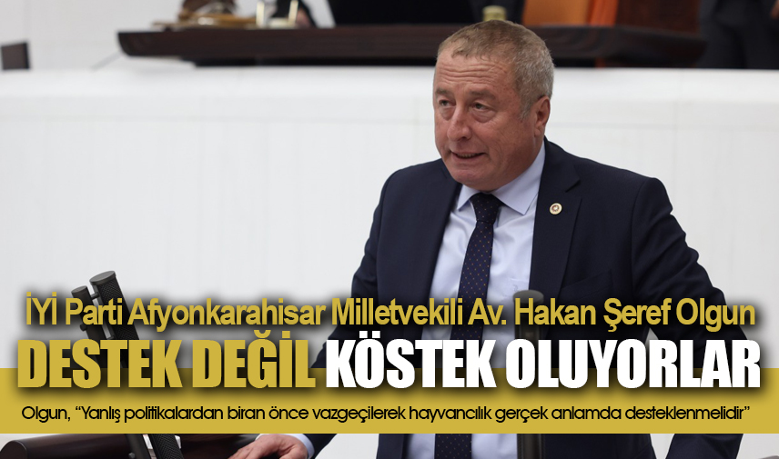 Olgun: Hükümet Hayvan üreticilerine destek değil köstek oluyor