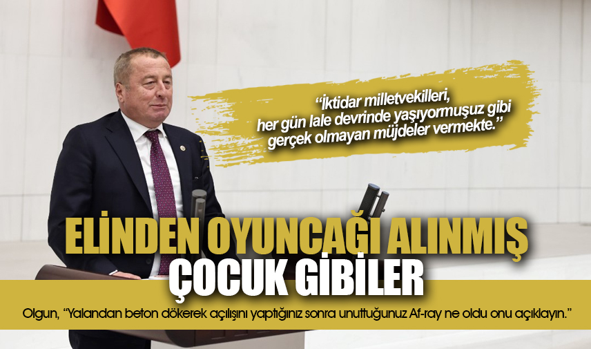 Olgun: İktidar Miletvekilleri elinden oyuncağı alınmış çocuk gibiler