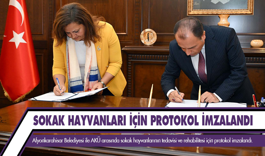 Sokak hayvanları için protokol imzalandı